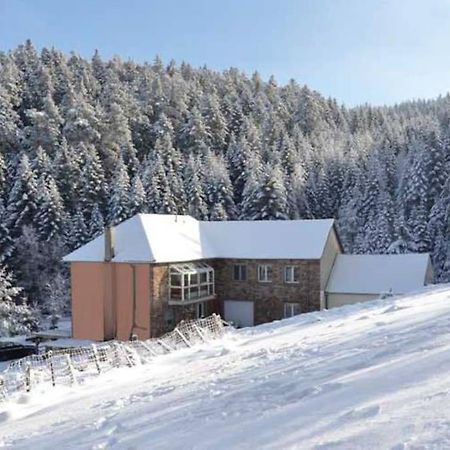 Gite Gretel De La Ferme Du Schneeberg Wangenbourg-Engenthal المظهر الخارجي الصورة