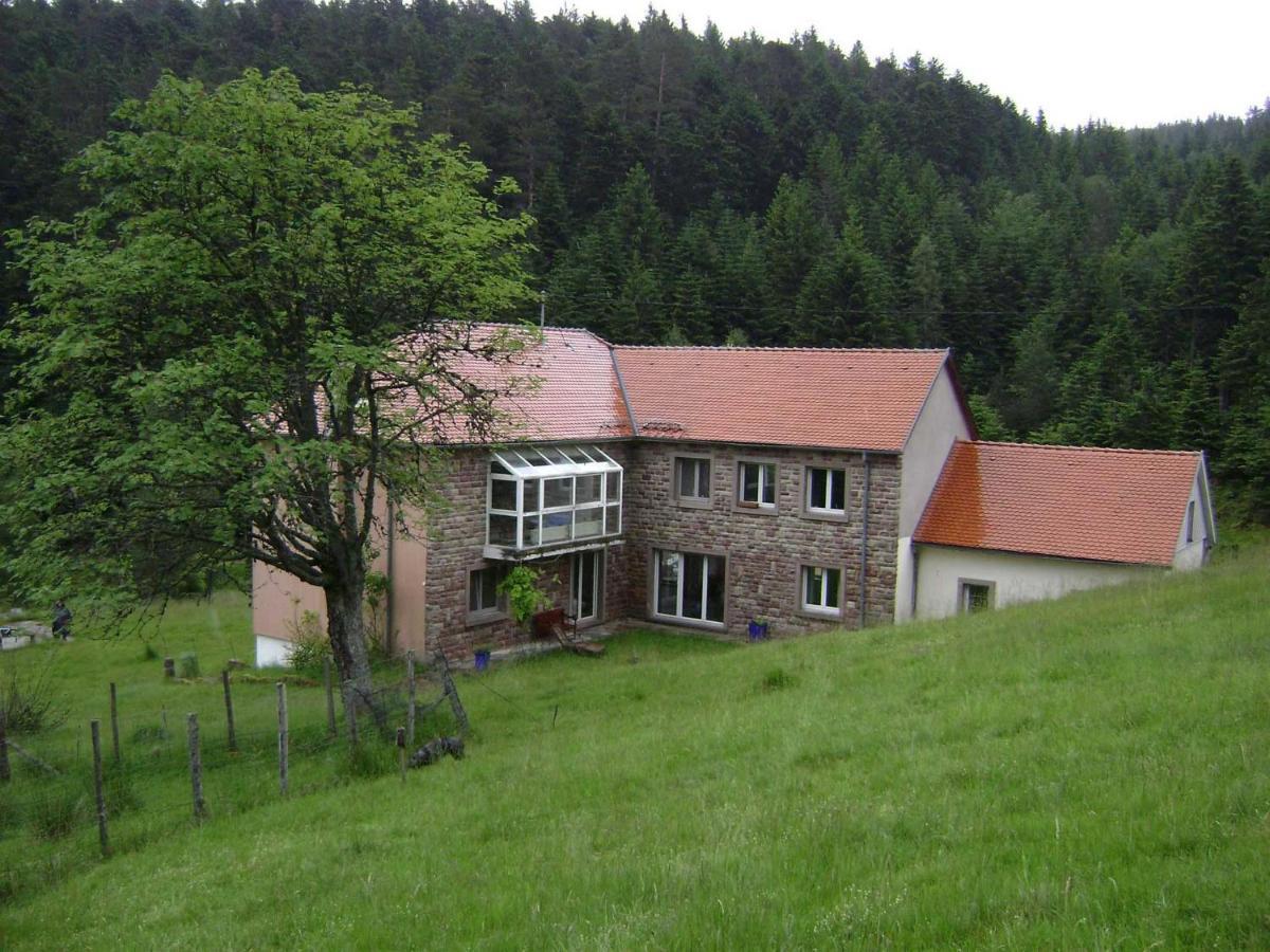 Gite Gretel De La Ferme Du Schneeberg Wangenbourg-Engenthal المظهر الخارجي الصورة