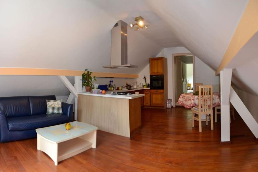 Gite Gretel De La Ferme Du Schneeberg Wangenbourg-Engenthal المظهر الخارجي الصورة