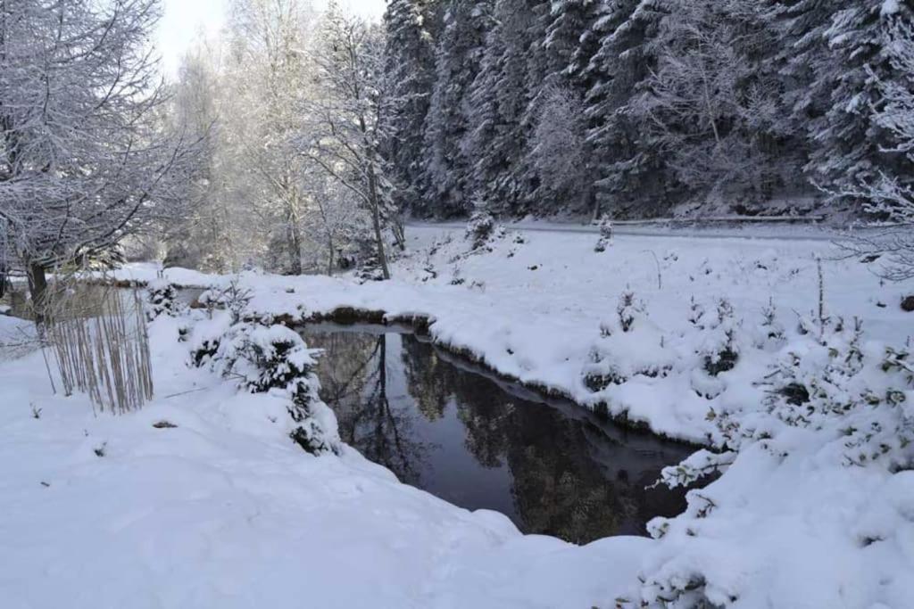 Gite Gretel De La Ferme Du Schneeberg Wangenbourg-Engenthal المظهر الخارجي الصورة