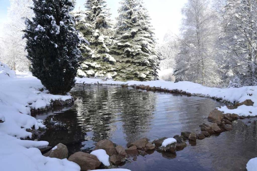 Gite Gretel De La Ferme Du Schneeberg Wangenbourg-Engenthal المظهر الخارجي الصورة