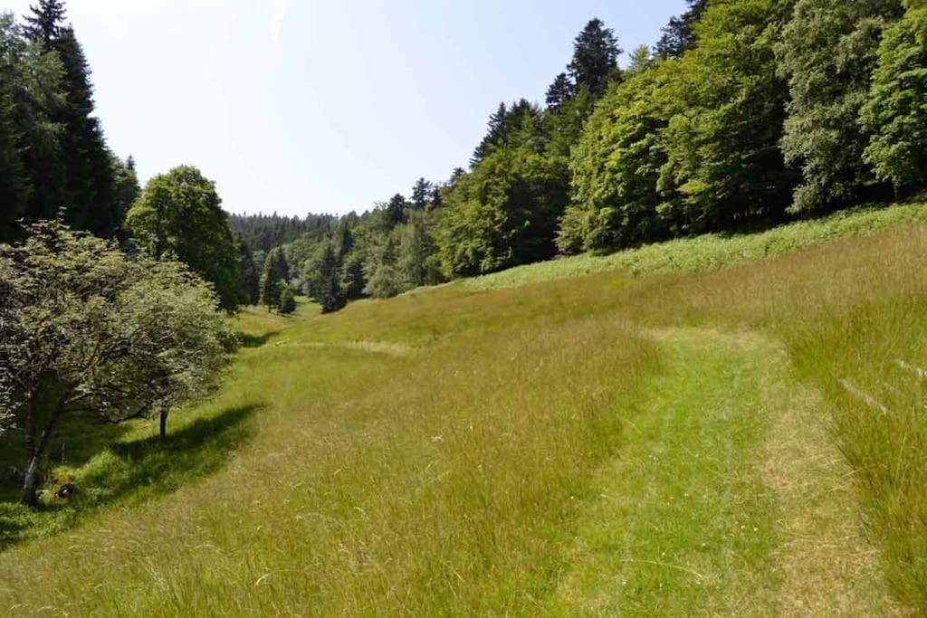 Gite Gretel De La Ferme Du Schneeberg Wangenbourg-Engenthal المظهر الخارجي الصورة