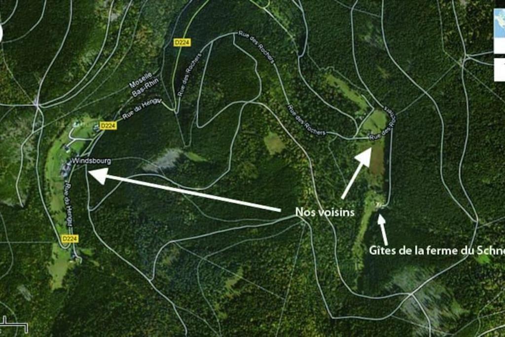 Gite Gretel De La Ferme Du Schneeberg Wangenbourg-Engenthal المظهر الخارجي الصورة